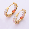 Stainless Steel Round Hoop Earring with Round Zircon