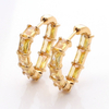 Stainless Steel Heart Hoop Earring with Square Zircon