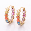 Stainless Steel Round Hoop Earring with Round Zircon