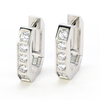 Stainless Steel Geometric Hoop Earrings with Single Zircon