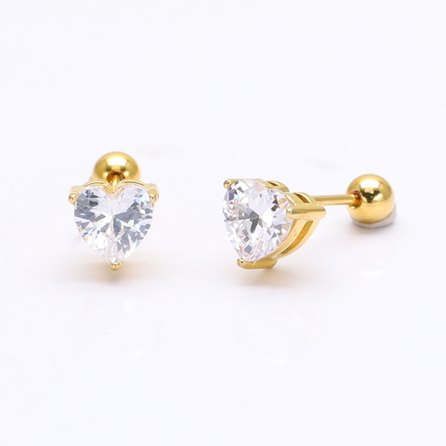 Stainless Steel Stud Earring
