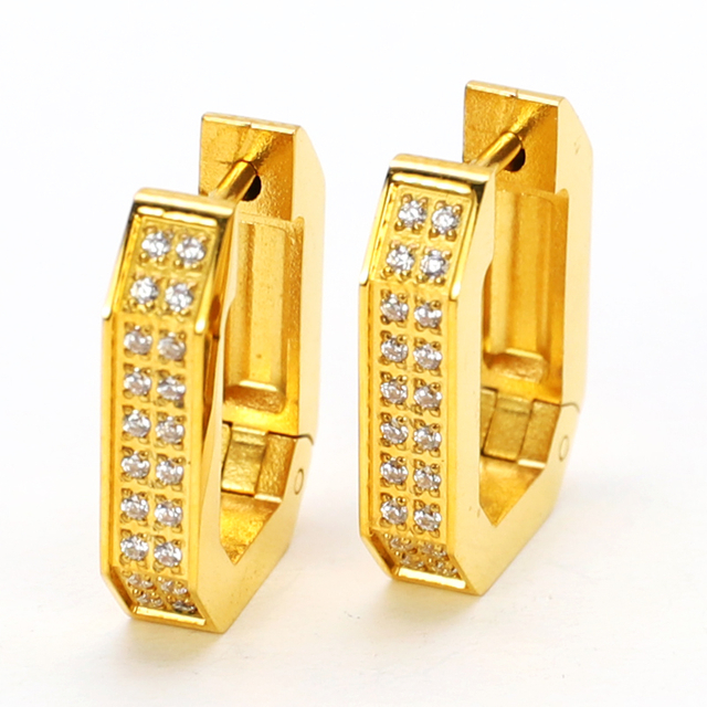 Stainless Steel Geometric Hoop Earrings with Two Row Zircon