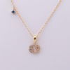 Stainless Steel 12 Zodiac Character Pendant Necklace With 5A Zircon